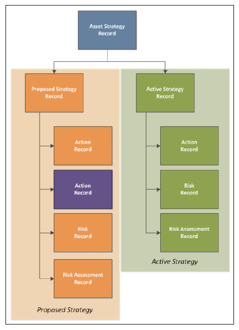 Asset Strategy management 1
